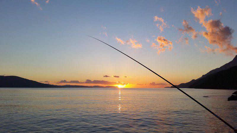 Fishing Carlingford