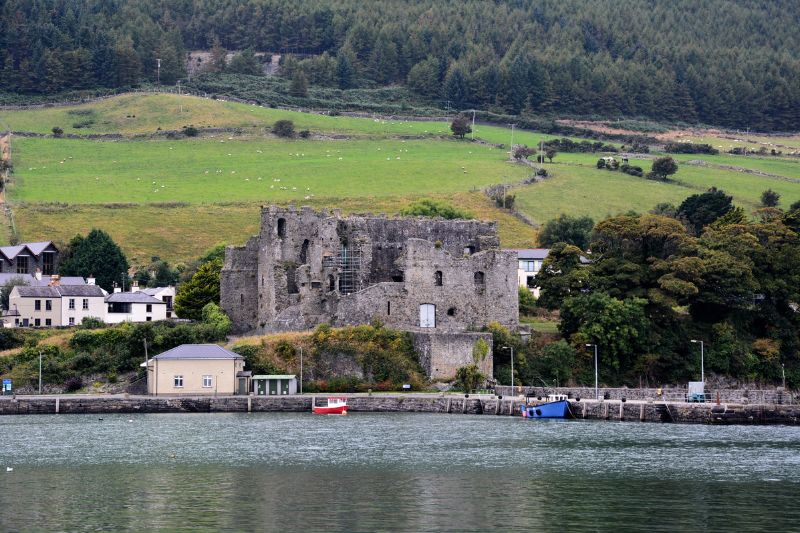 things to do in carlingford